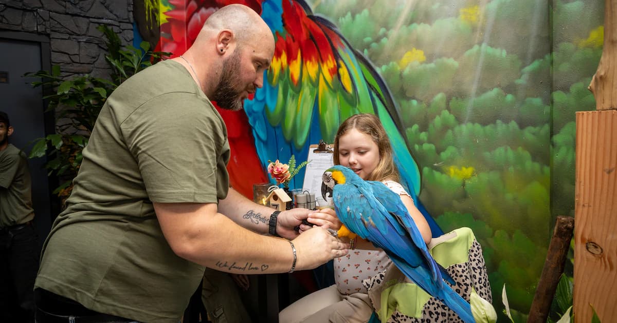 The Parrot Lounge